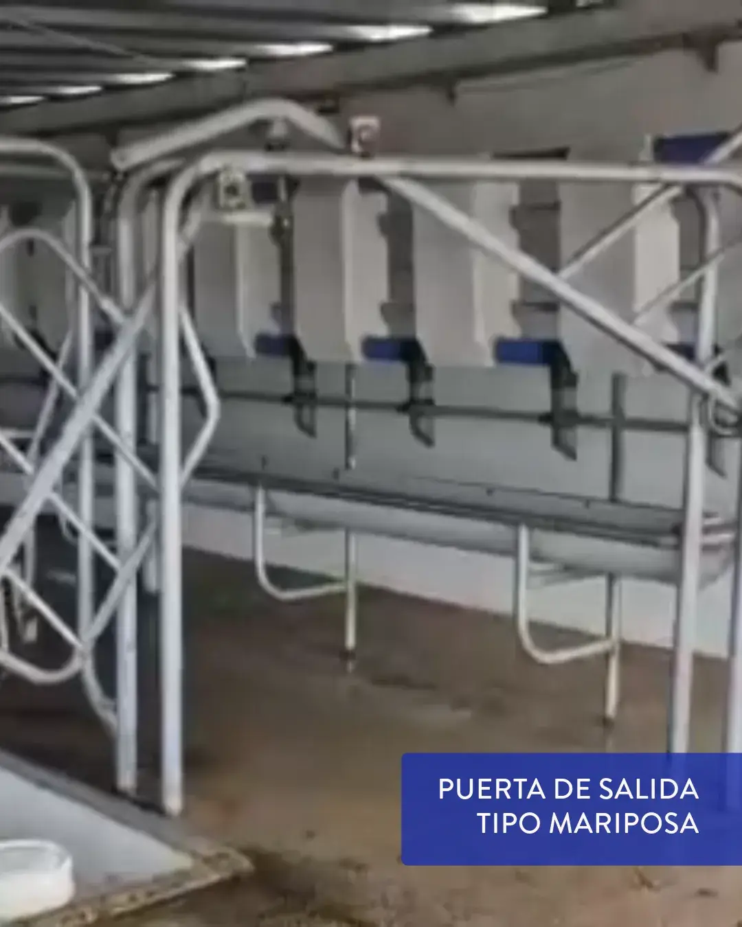 Instalación Rodeg en Chamizo, Florida (Uruguay) — foto 3