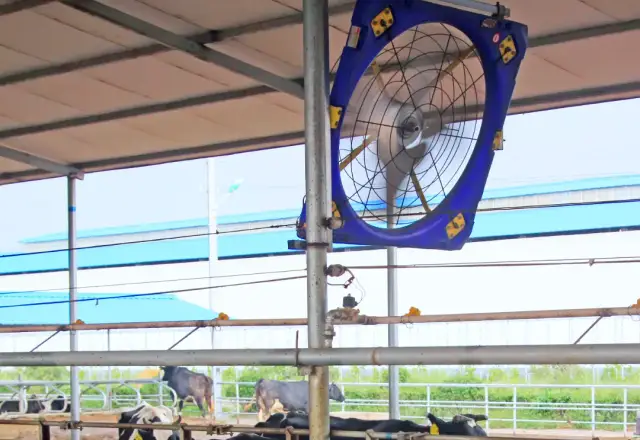 Instalación Rodeg en un tambo